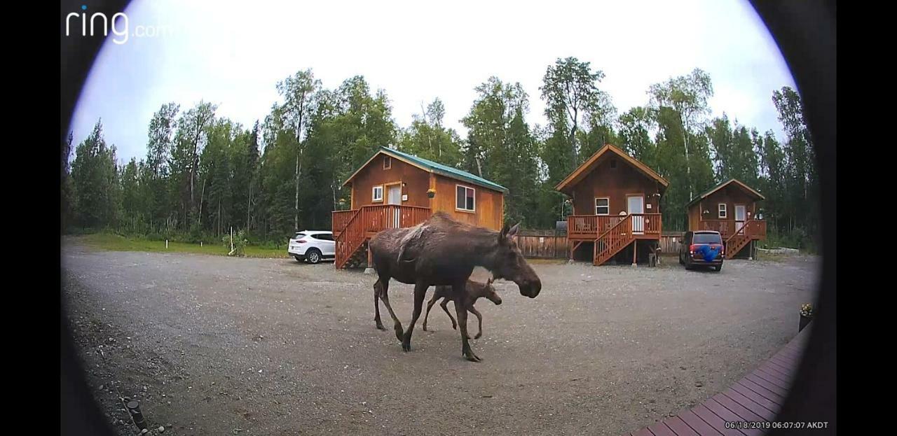 فندق Talkeetna Love-Lee Cabins المظهر الخارجي الصورة